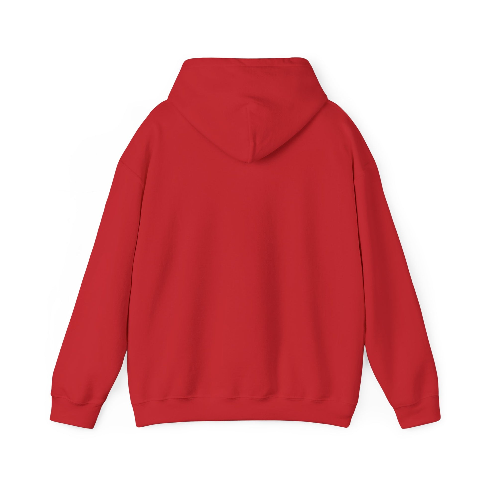 Colorful Flower Express Yourself Hooded Sweatshirt, Unisex Pullover, Postal Worker,  Cozy Sweatshirt, Gift for Friends, Everyday Wear, Flower Power Apparel