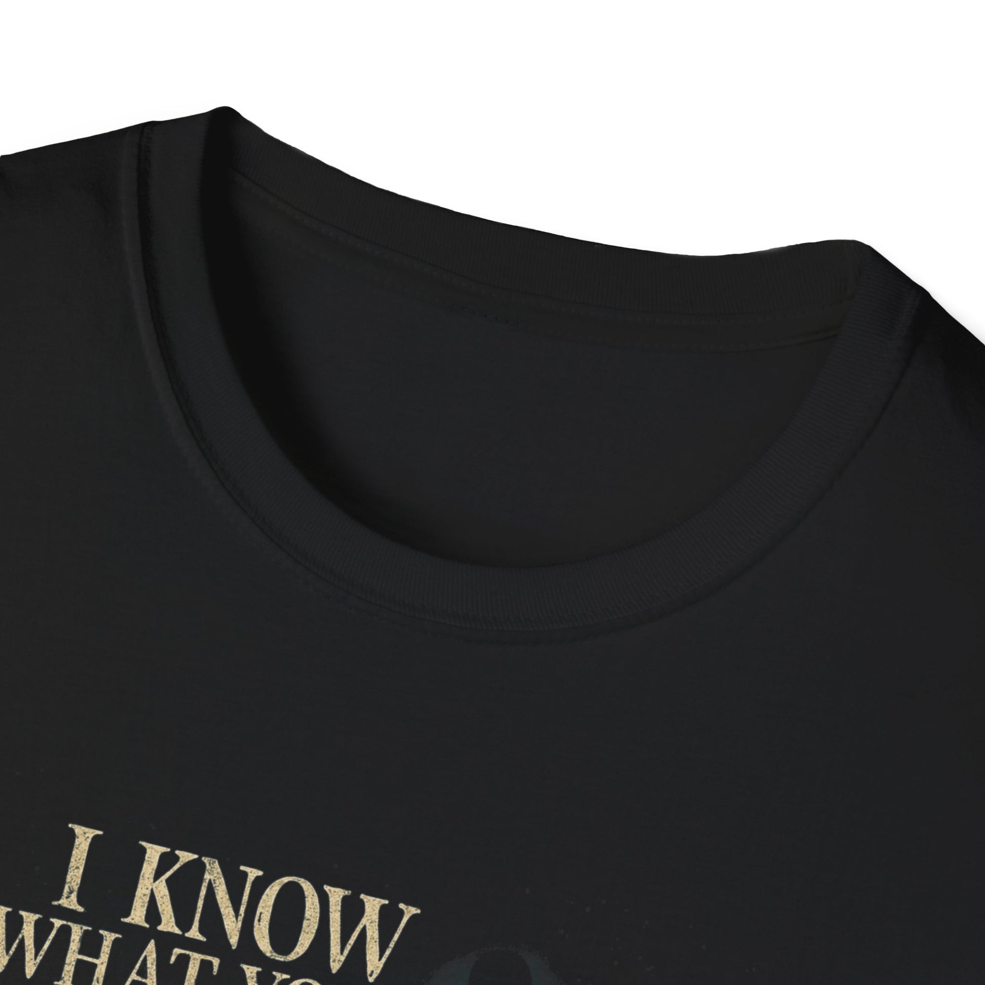 I Know What You Mailed Last Summer Unisex Softstyle T-Shirt
