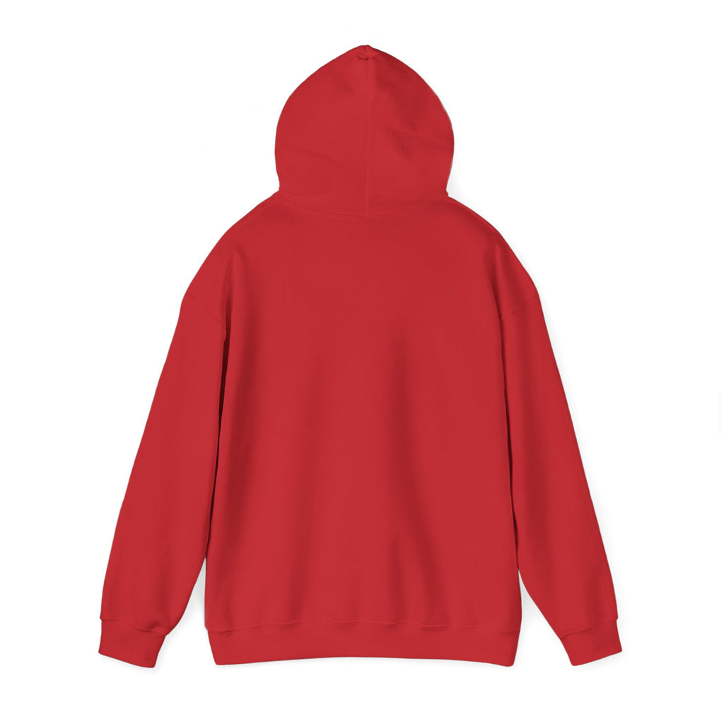 Colorful Flower Express Yourself Hooded Sweatshirt, Unisex Pullover, Postal Worker,  Cozy Sweatshirt, Gift for Friends, Everyday Wear, Flower Power Apparel
