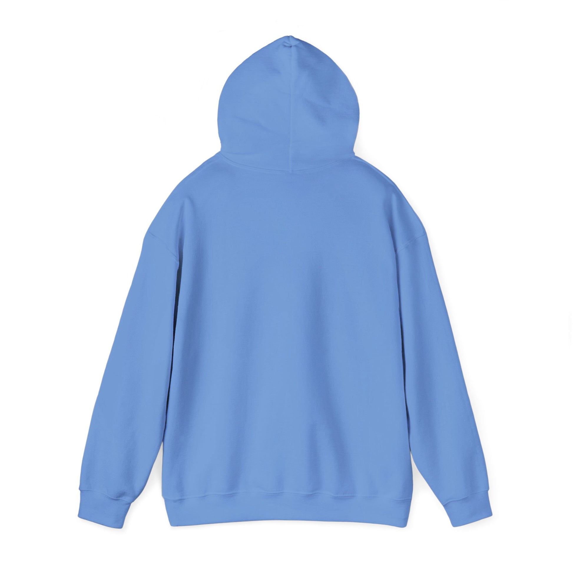 Colorful Flower Express Yourself Hooded Sweatshirt, Unisex Pullover, Postal Worker,  Cozy Sweatshirt, Gift for Friends, Everyday Wear, Flower Power Apparel