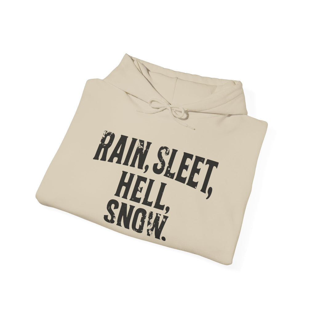 Rain, Sleet, Hell, Snow Unisex Hoodie - Cozy Sweatshirt for All Weather, Perfect Gift for Postal Workers, Weather Lovers, Year-Round Comfort, Casual Style