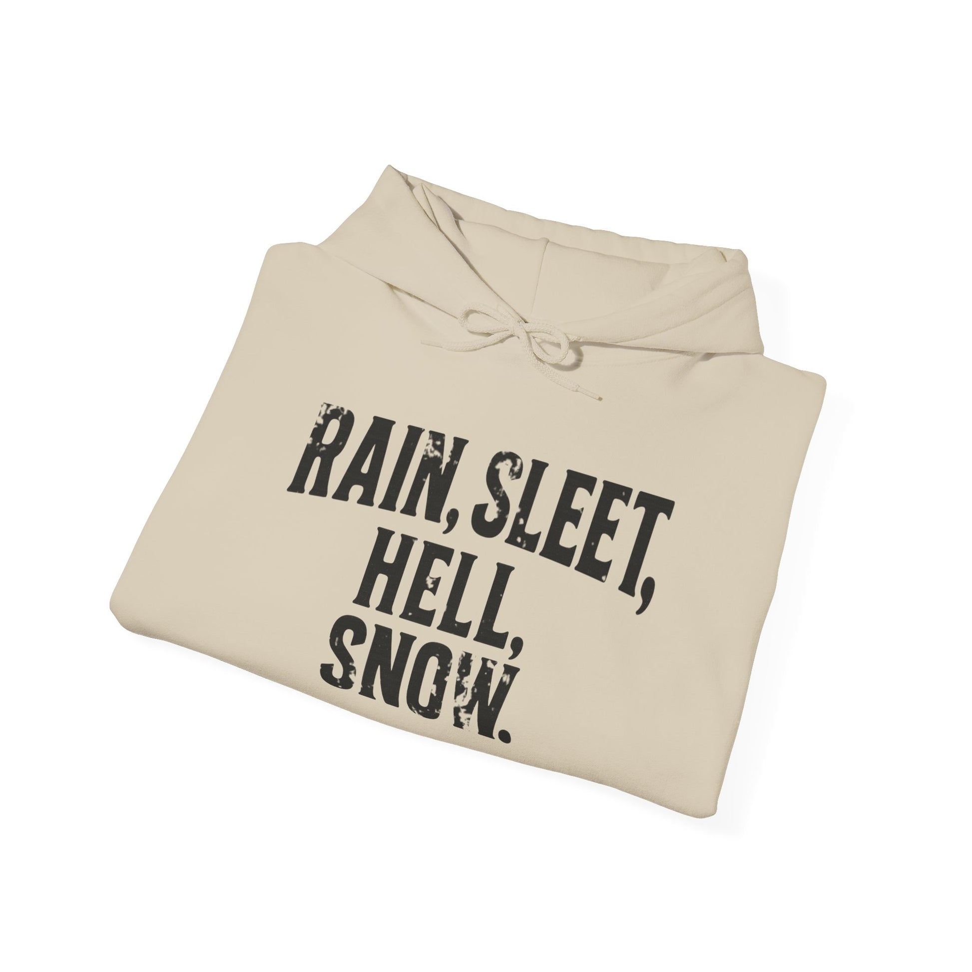 Rain, Sleet, Hell, Snow Unisex Hoodie - Cozy Sweatshirt for All Weather, Perfect Gift for Postal Workers, Weather Lovers, Year-Round Comfort, Casual Style
