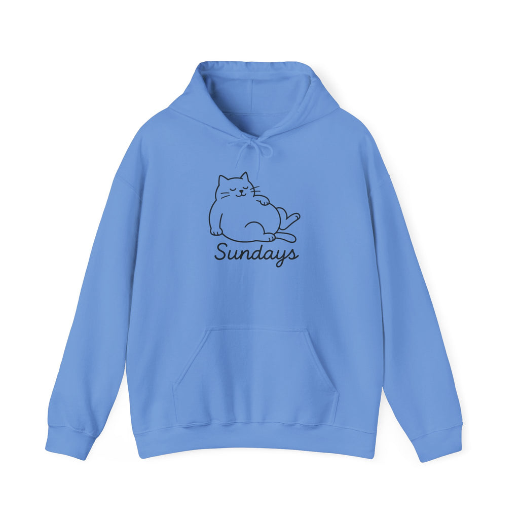 Cozy Cat Design Hoodie, Perfect for Cat Lovers, Chill Sundays, Gift for Pet Owners, Relaxed Weekend Style, Unisex Sweatshirt