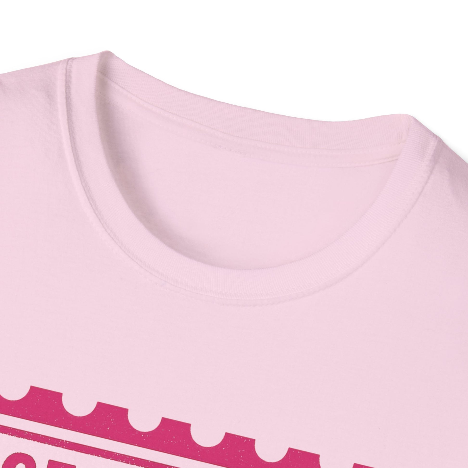 Certified Diva Mail Mischief Unisex T-Shirt, Fun Graphic Tee, Playful Gift, Casual Wear, Birthday, Holiday Celebrations