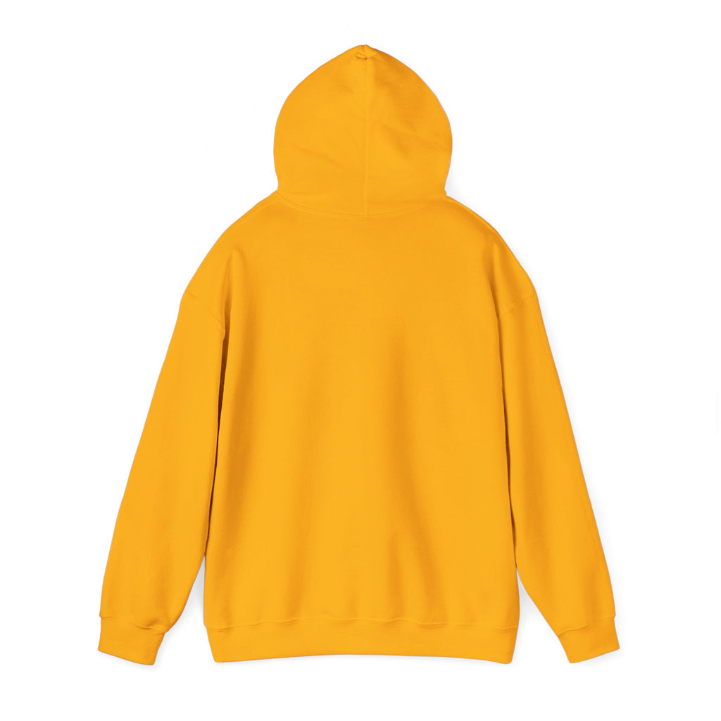 Delivered - Hoodie
