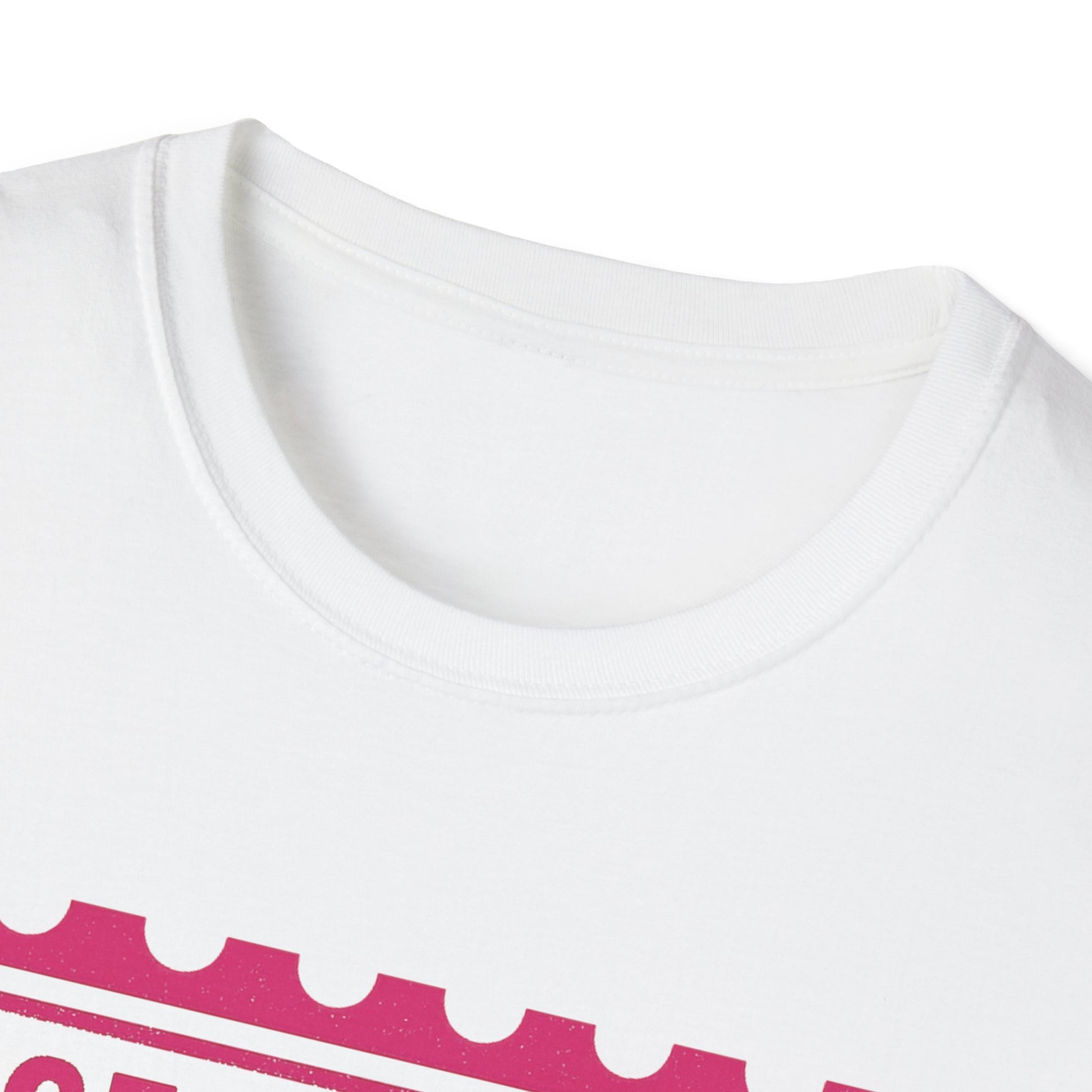 Certified Diva Mail Mischief Unisex T-Shirt, Fun Graphic Tee, Playful Gift, Casual Wear, Birthday, Holiday Celebrations