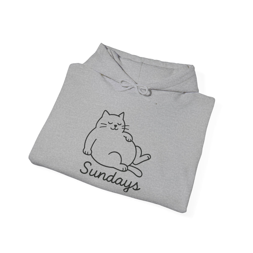 Cozy Cat Design Hoodie, Perfect for Cat Lovers, Chill Sundays, Gift for Pet Owners, Relaxed Weekend Style, Unisex Sweatshirt