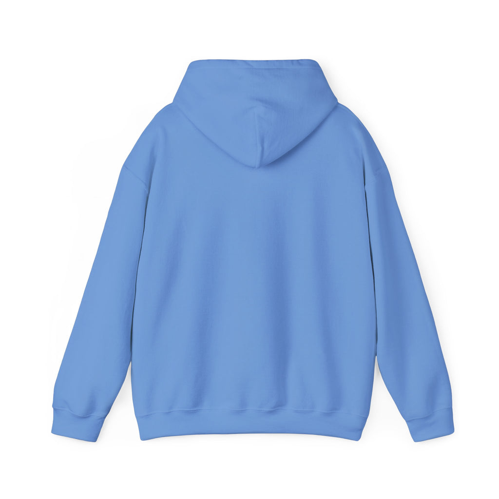 Colorful Flower Express Yourself Hooded Sweatshirt, Unisex Pullover, Postal Worker,  Cozy Sweatshirt, Gift for Friends, Everyday Wear, Flower Power Apparel