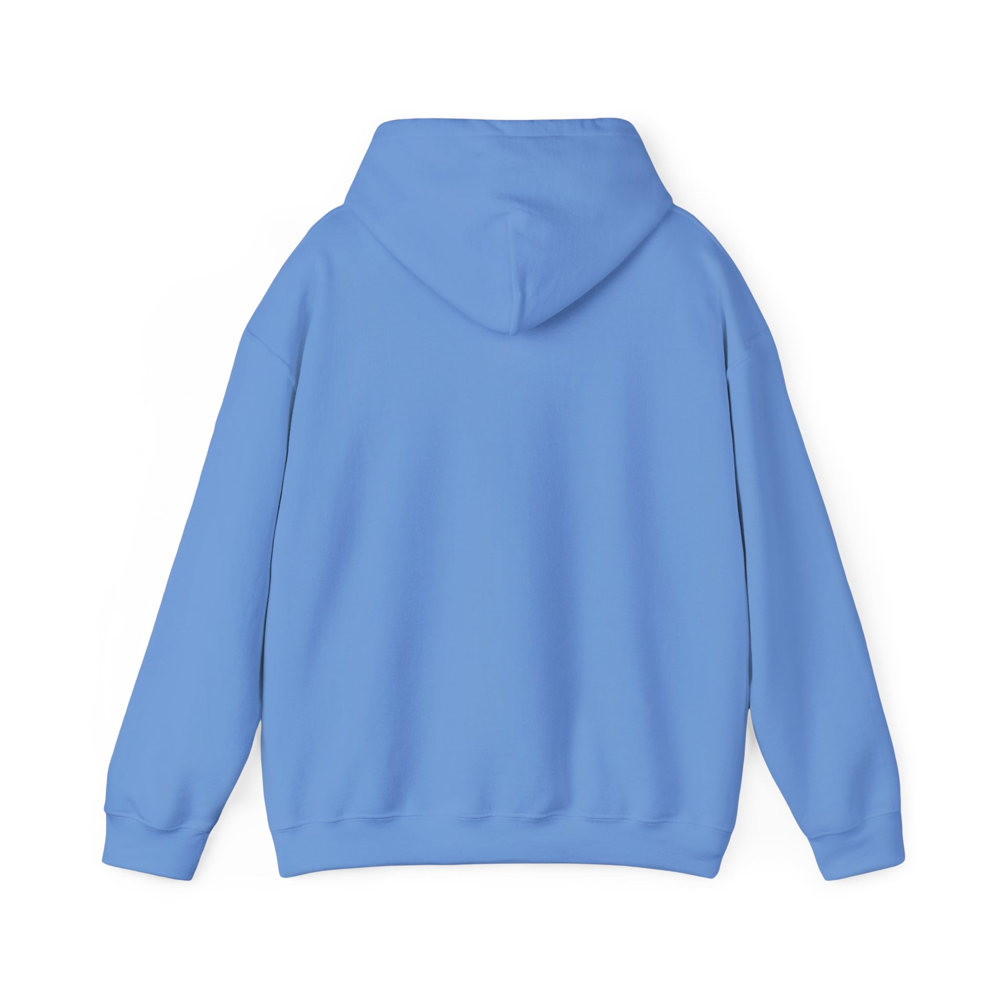 Colorful Flower Express Yourself Hooded Sweatshirt, Unisex Pullover, Postal Worker,  Cozy Sweatshirt, Gift for Friends, Everyday Wear, Flower Power Apparel