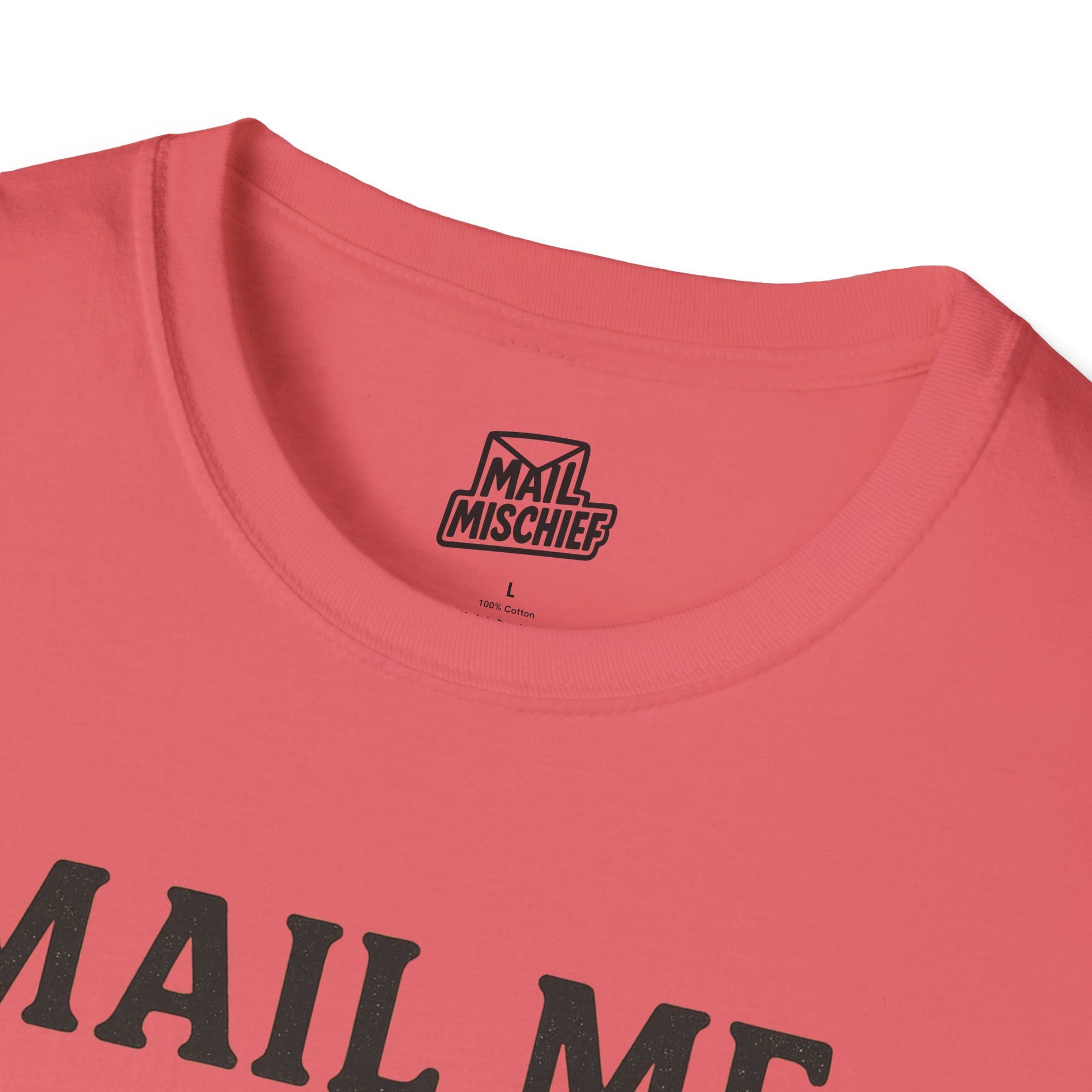 Mail Me Something Nice T-Shirt, Unisex Cute Tee, Gift for Friends, Postal Humor Shirt, Fun Casual Wear