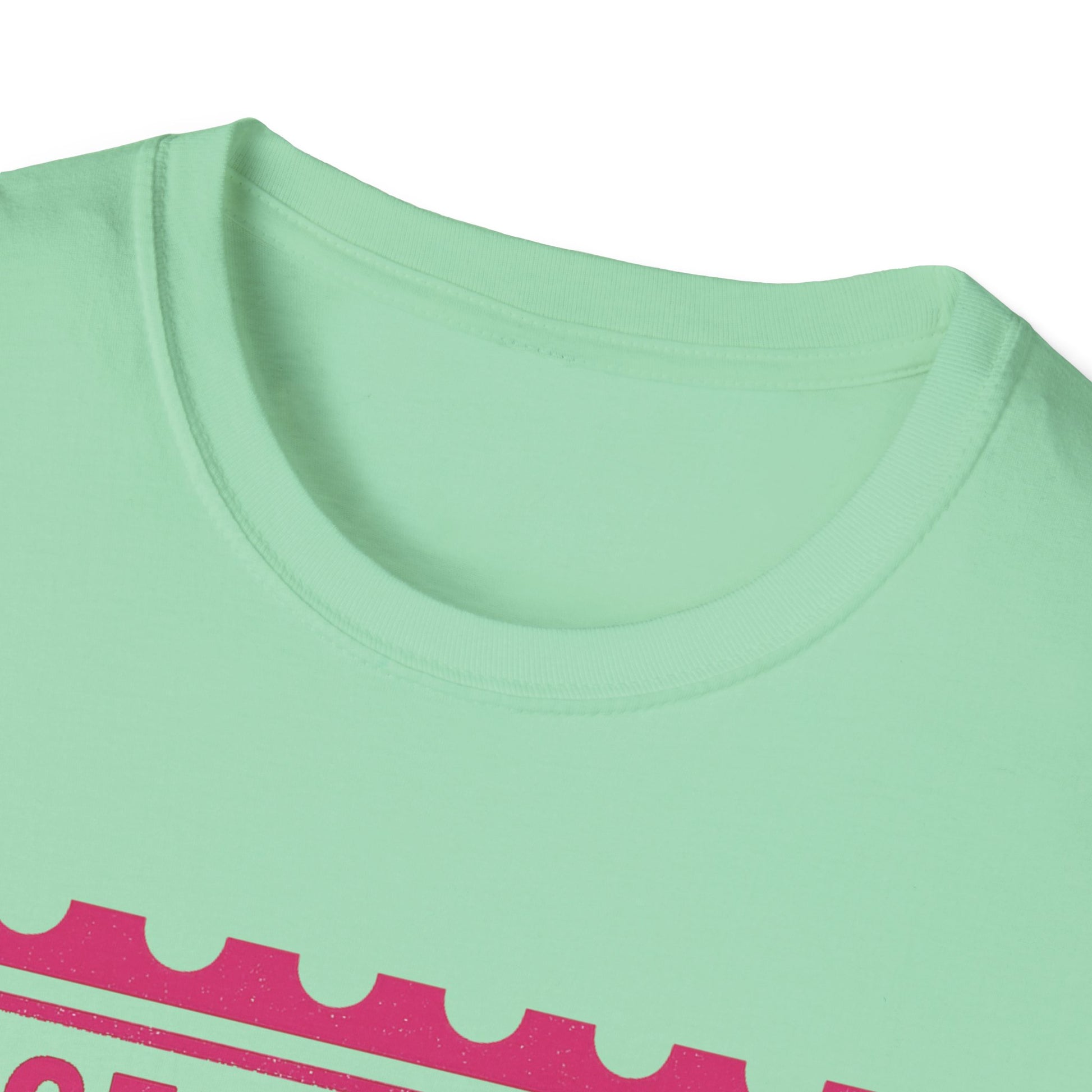 Certified Diva Mail Mischief Unisex T-Shirt, Fun Graphic Tee, Playful Gift, Casual Wear, Birthday, Holiday Celebrations