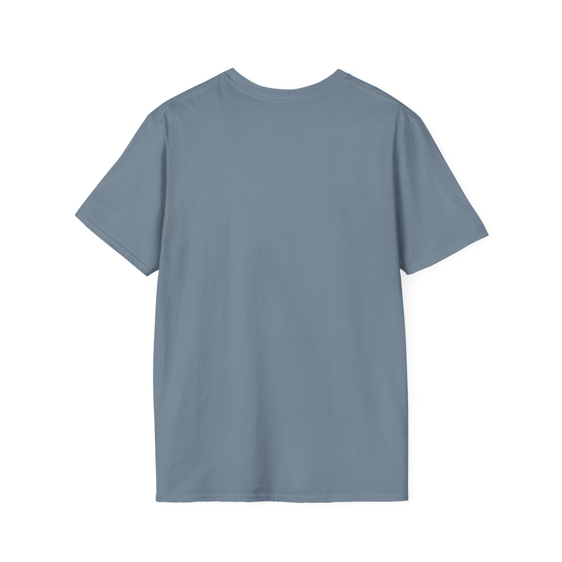 Unisex Mail Carrier Softstyle T-Shirt