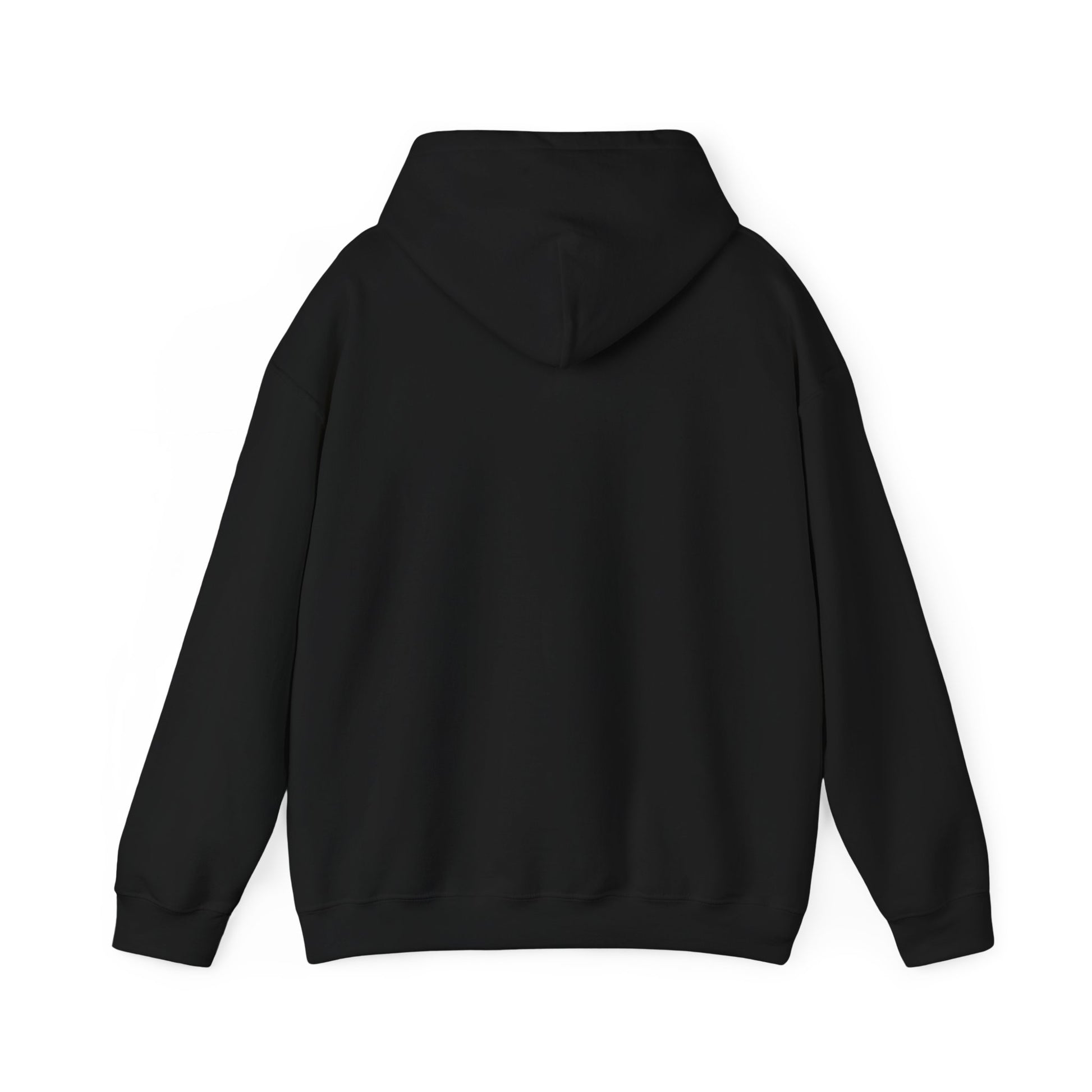 Funny Gamer Hoodie, Unisex Cartoon Sweatshirt, Perfect Gift for Gamers, Cozy Cute Pullover, Humor and Comfort for Every Occasion