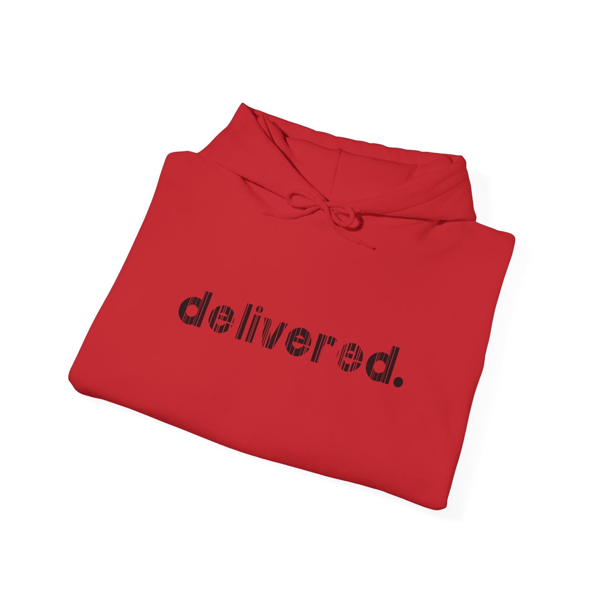 Delivered - Hoodie