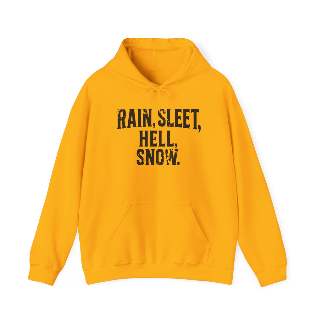 Rain, Sleet, Hell, Snow Unisex Hoodie - Cozy Sweatshirt for All Weather, Perfect Gift for Postal Workers, Weather Lovers, Year-Round Comfort, Casual Style