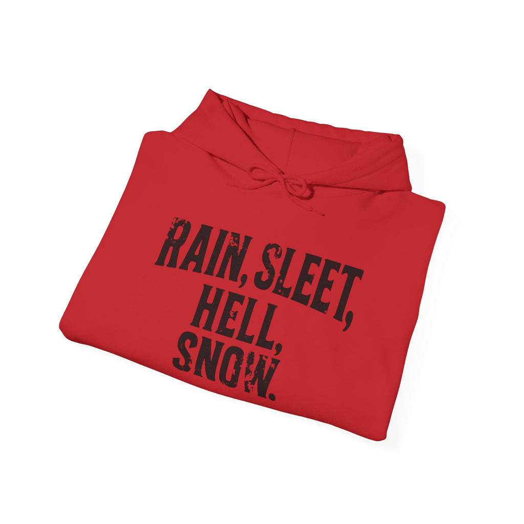 Rain, Sleet, Hell, Snow Unisex Hoodie - Cozy Sweatshirt for All Weather, Perfect Gift for Postal Workers, Weather Lovers, Year-Round Comfort, Casual Style