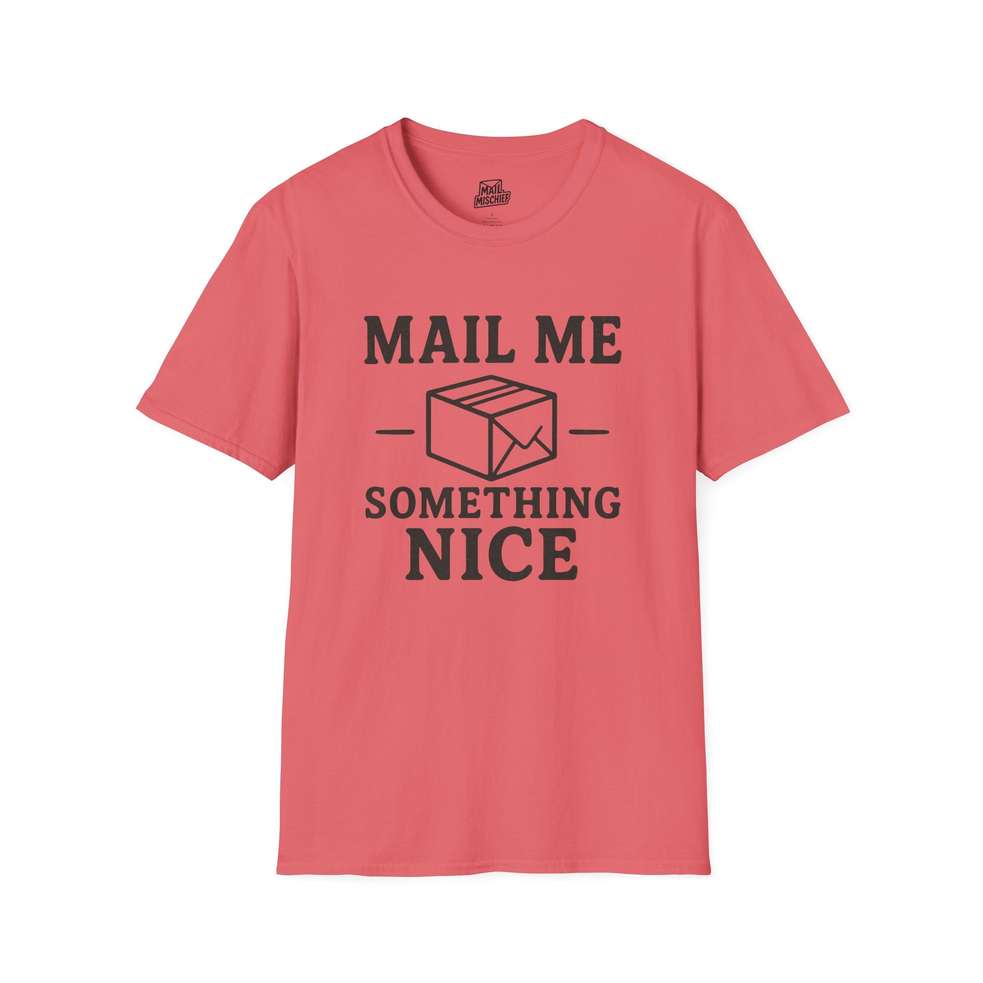 Mail Me Something Nice T-Shirt, Unisex Cute Tee, Gift for Friends, Postal Humor Shirt, Fun Casual Wear