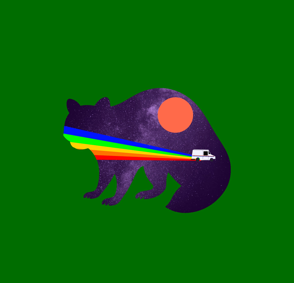 Cosmic Raccoon Hoodie, Unisex Heavy Blend Sweatshirt, Galaxy Animal, Mail Truck, Perfect for Nature Lovers, Cozy Gift for Birthdays, Festivals