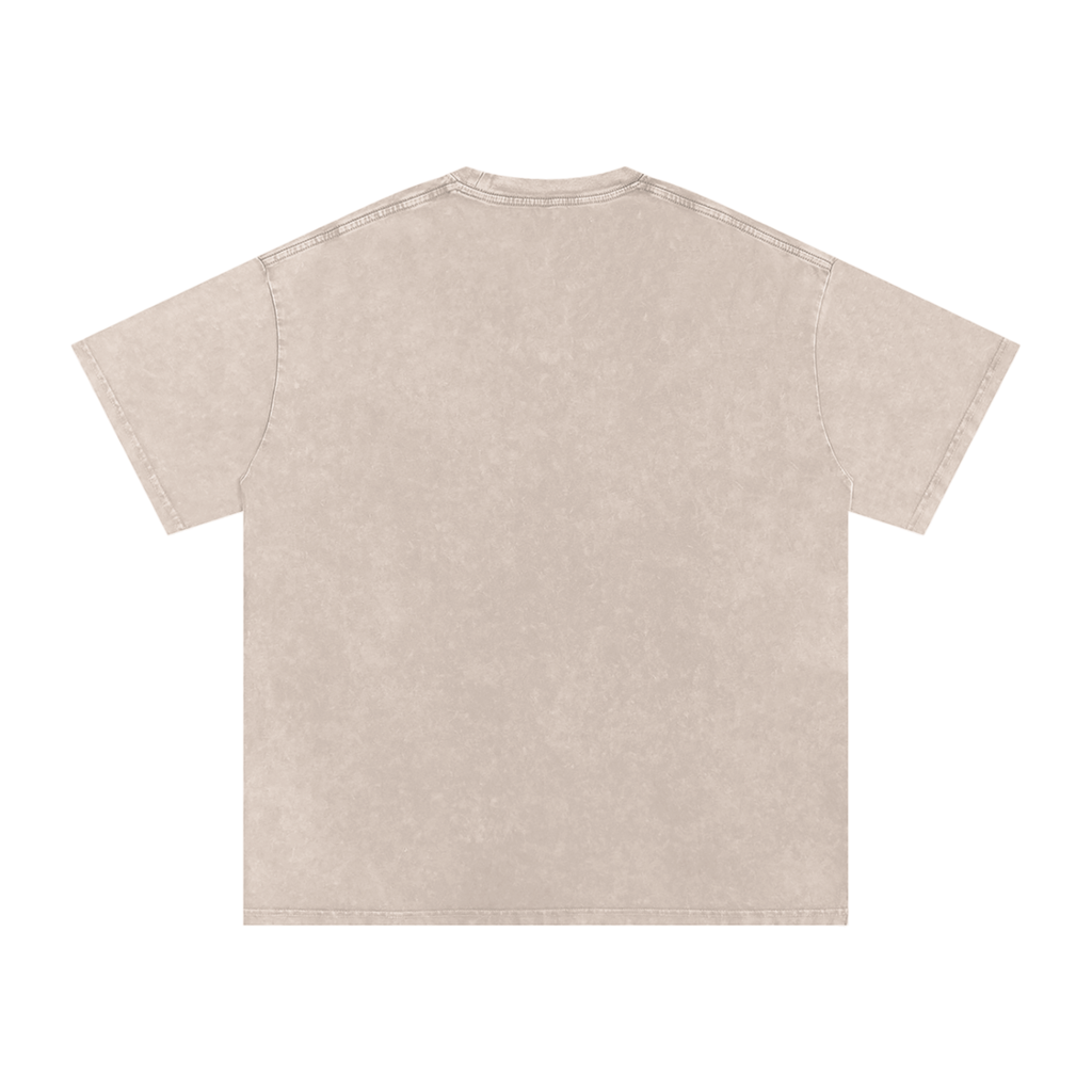Affirm My Delusions Snow Washed Oversized Cotton T-Shirt