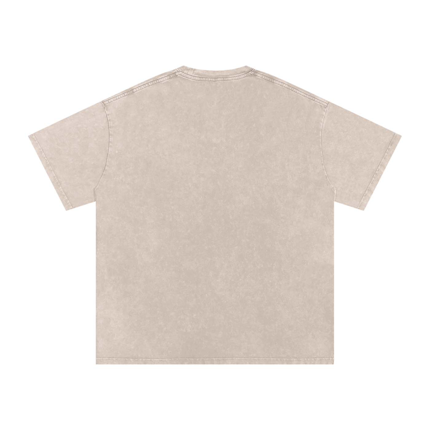 Affirm My Delusions Snow Washed Oversized Cotton T-Shirt