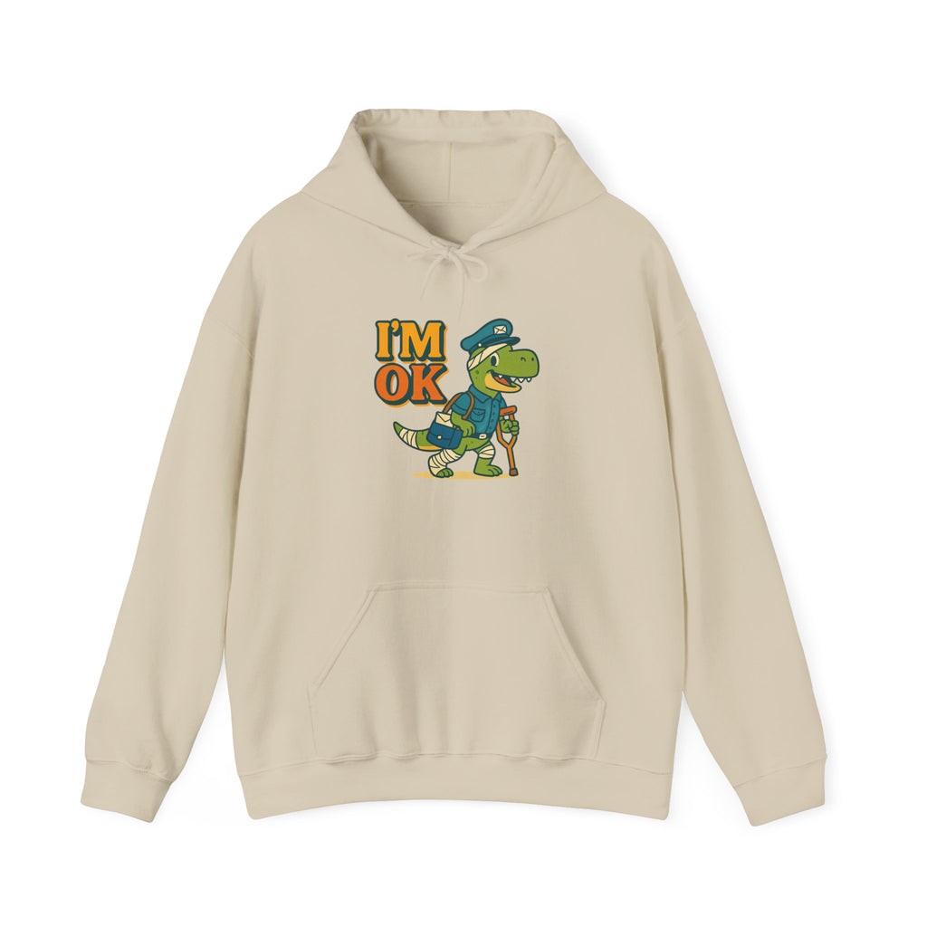 Dinosaur Hoodie, Funny I'm OK Sweatshirt, Kids Gift, Birthday Present, Cute Apparel, Casual Wear, Kids Fashion