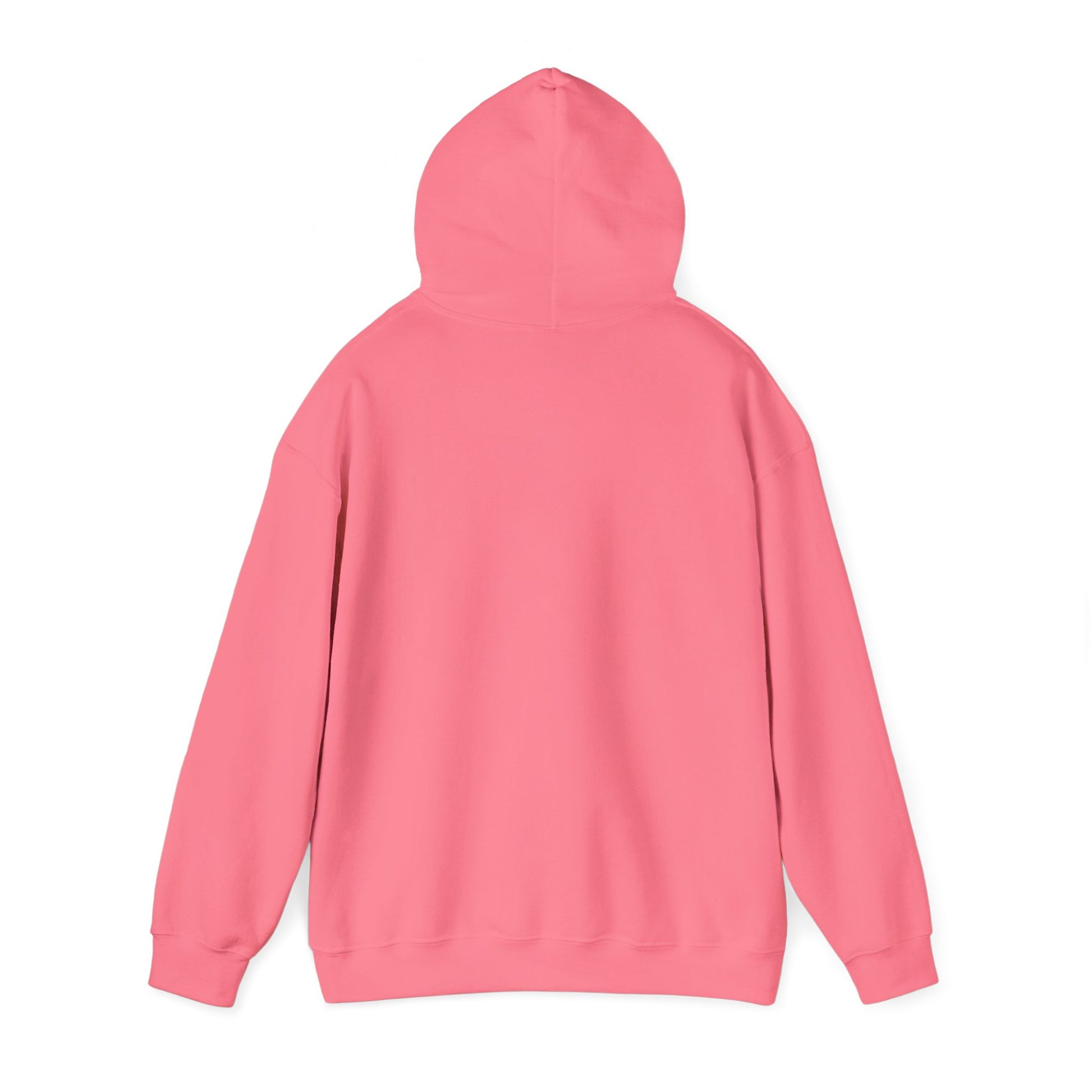 Colorful Flower Express Yourself Hooded Sweatshirt, Unisex Pullover, Postal Worker,  Cozy Sweatshirt, Gift for Friends, Everyday Wear, Flower Power Apparel