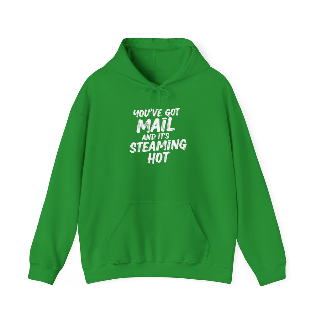 You've Got Mail Hoodie, Funny Sweatshirt, Gift for Writers, Cozy Unisex Sweatshirt, Perfect for Holidays, Casual Wear