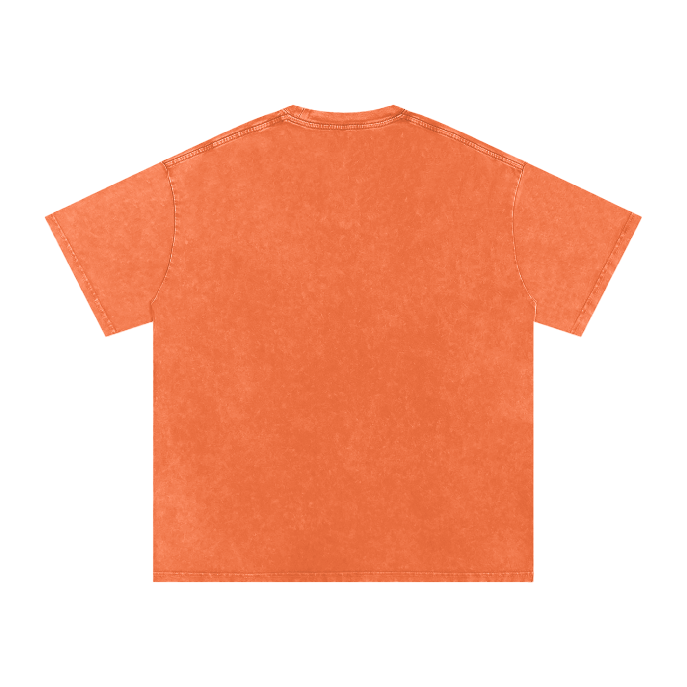 Affirm My Delusions Snow Washed Oversized Cotton T-Shirt