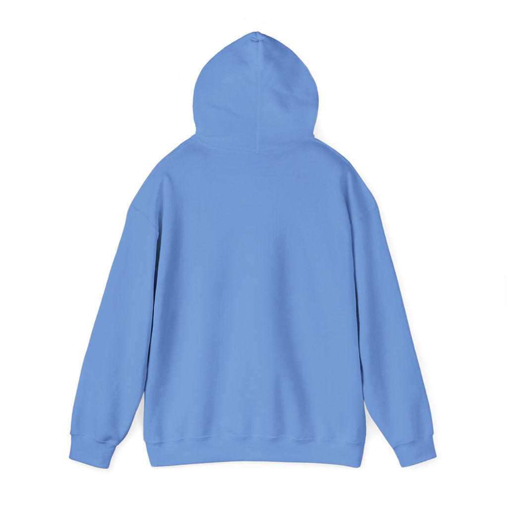 Colorful Flower Express Yourself Hooded Sweatshirt, Unisex Pullover, Postal Worker,  Cozy Sweatshirt, Gift for Friends, Everyday Wear, Flower Power Apparel