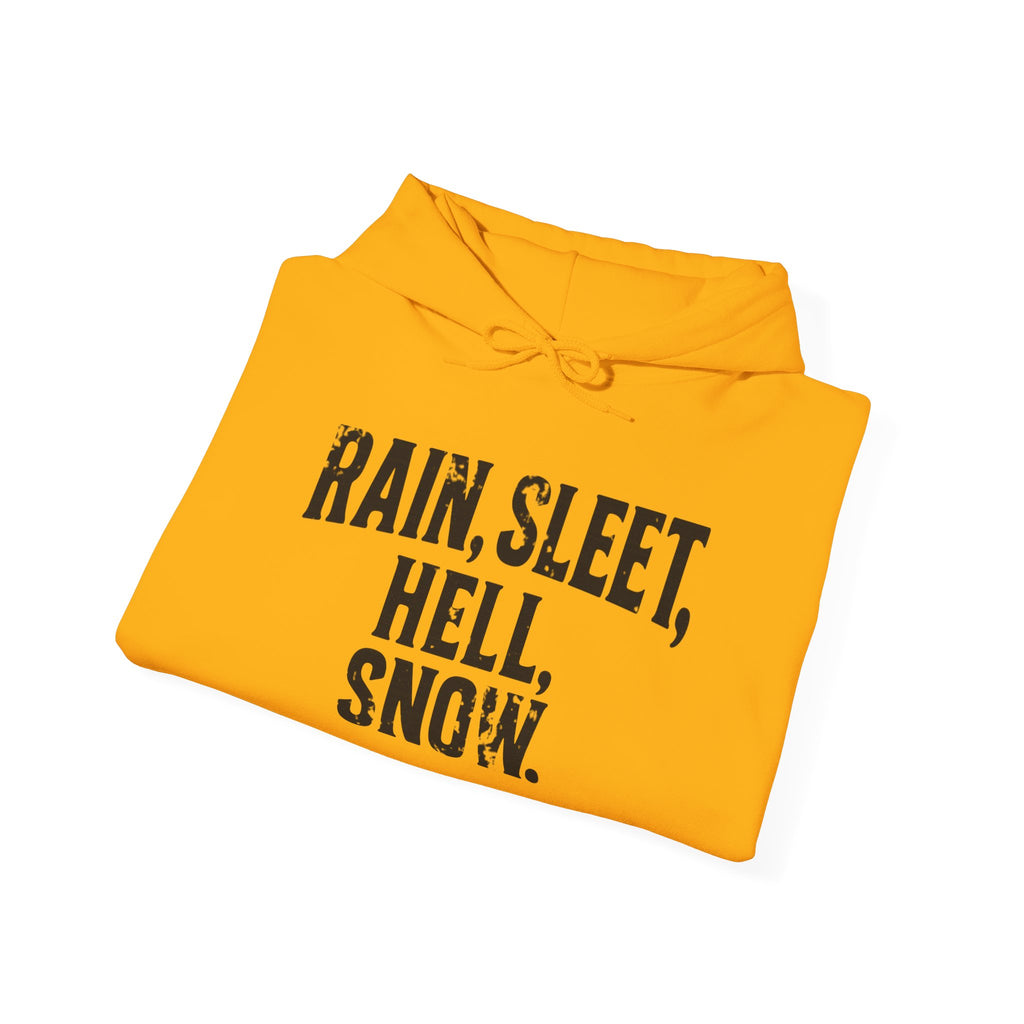 Rain, Sleet, Hell, Snow Unisex Hoodie - Cozy Sweatshirt for All Weather, Perfect Gift for Postal Workers, Weather Lovers, Year-Round Comfort, Casual Style