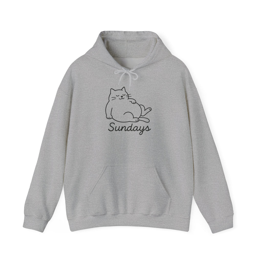 Cozy Cat Design Hoodie, Perfect for Cat Lovers, Chill Sundays, Gift for Pet Owners, Relaxed Weekend Style, Unisex Sweatshirt