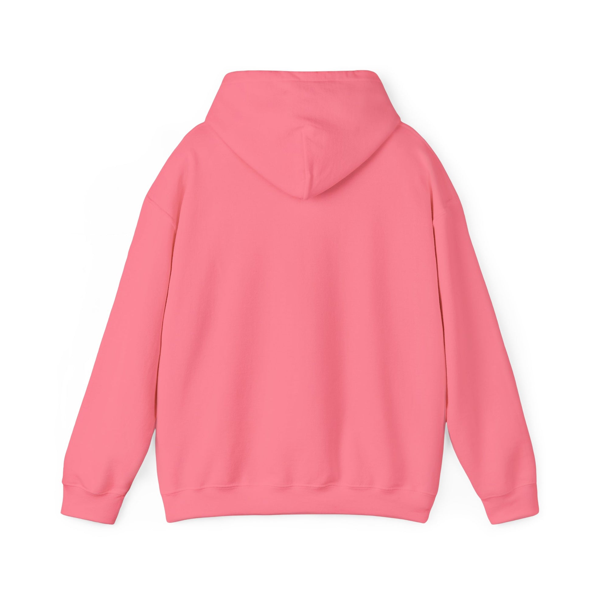 Colorful Flower Express Yourself Hooded Sweatshirt, Unisex Pullover, Postal Worker,  Cozy Sweatshirt, Gift for Friends, Everyday Wear, Flower Power Apparel