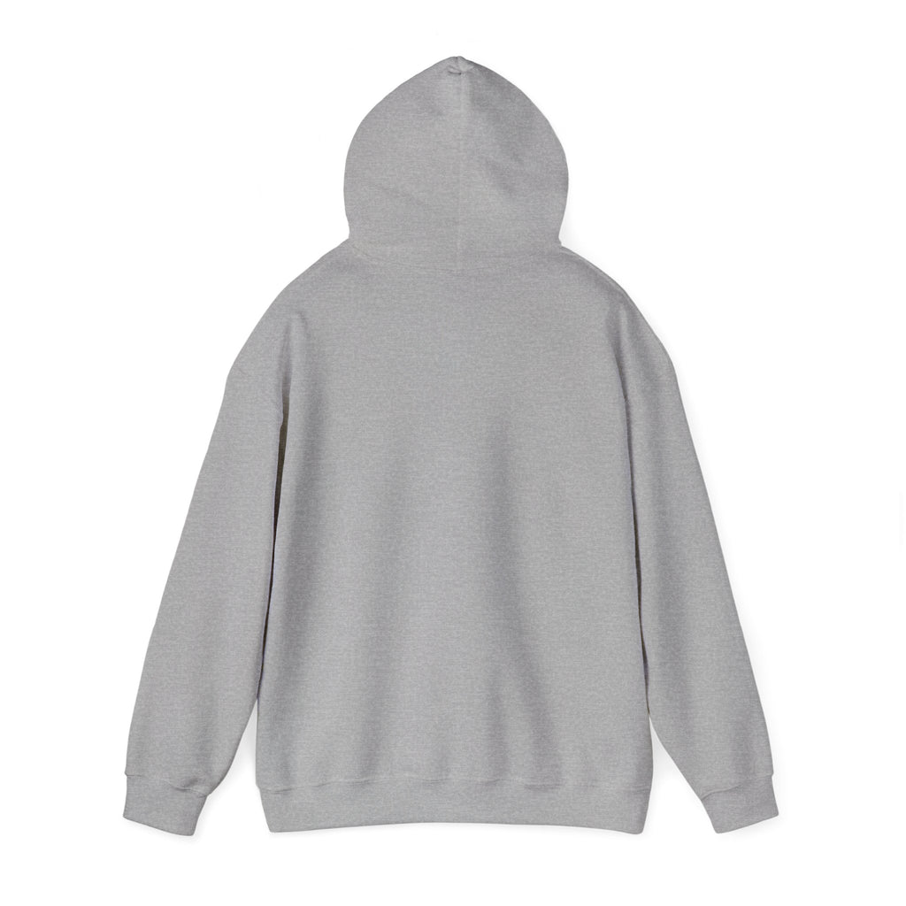 Colorful Flower Express Yourself Hooded Sweatshirt, Unisex Pullover, Postal Worker,  Cozy Sweatshirt, Gift for Friends, Everyday Wear, Flower Power Apparel