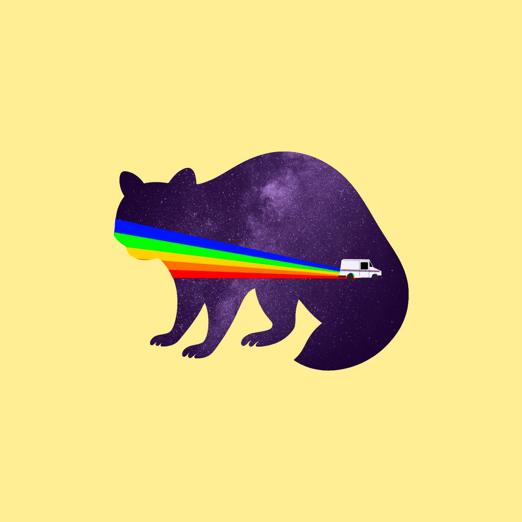 Cosmic Raccoon & Delivery Truck Design T-Shirt, Unisex Softstyle T-Shirt, Animal Graphic Tee, Unique Gift, Festival Wear, Artistic Apparel