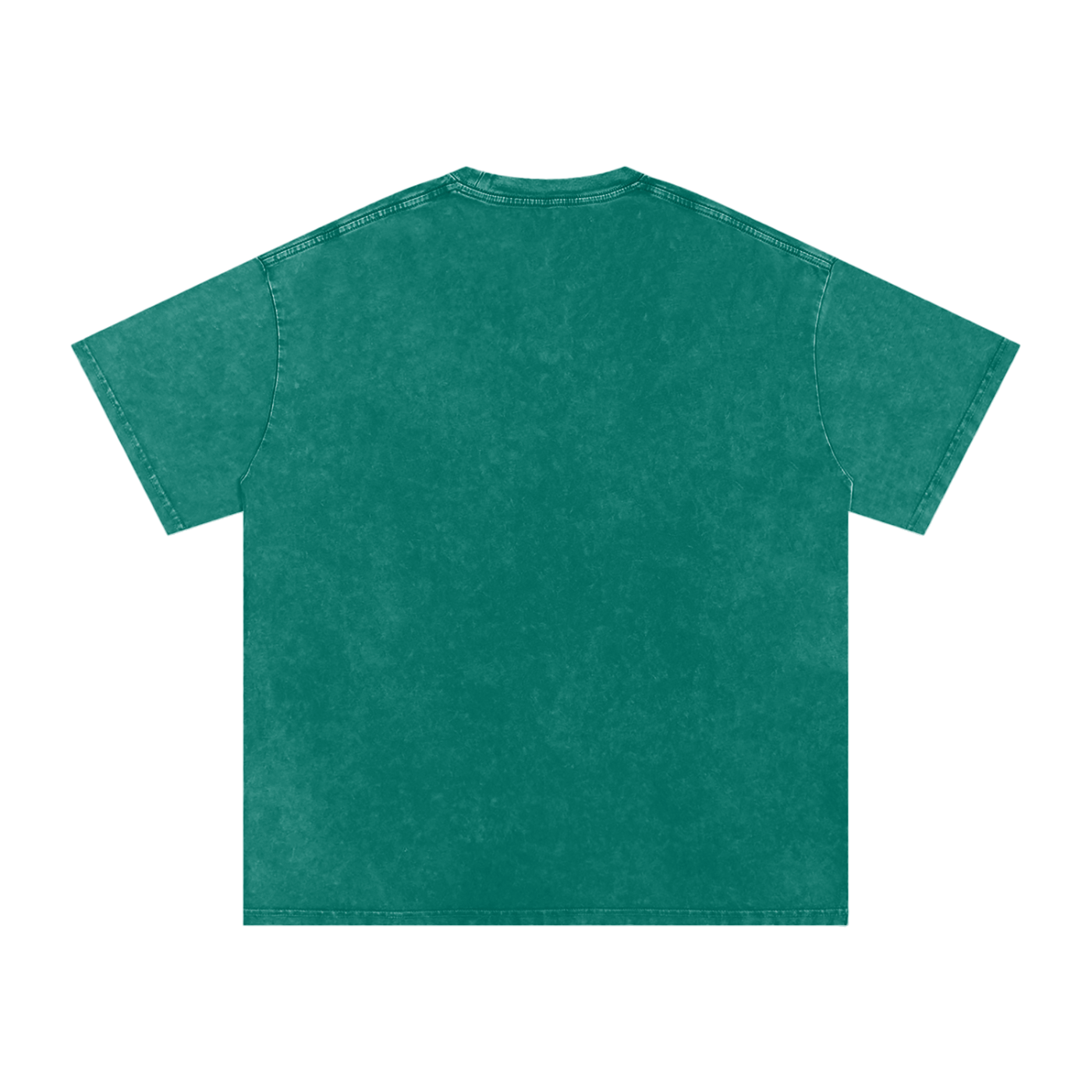 Affirm My Delusions Snow Washed Oversized Cotton T-Shirt