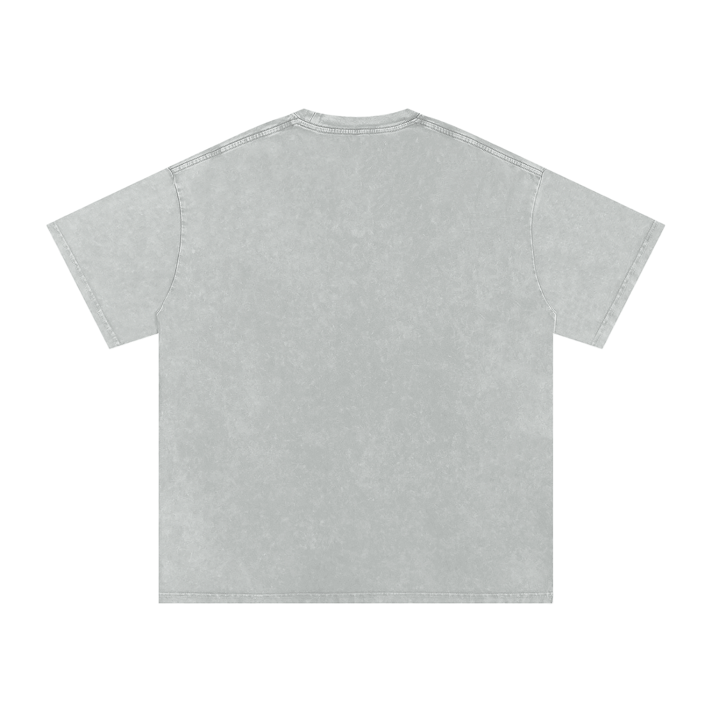 Affirm My Delusions Snow Washed Oversized Cotton T-Shirt