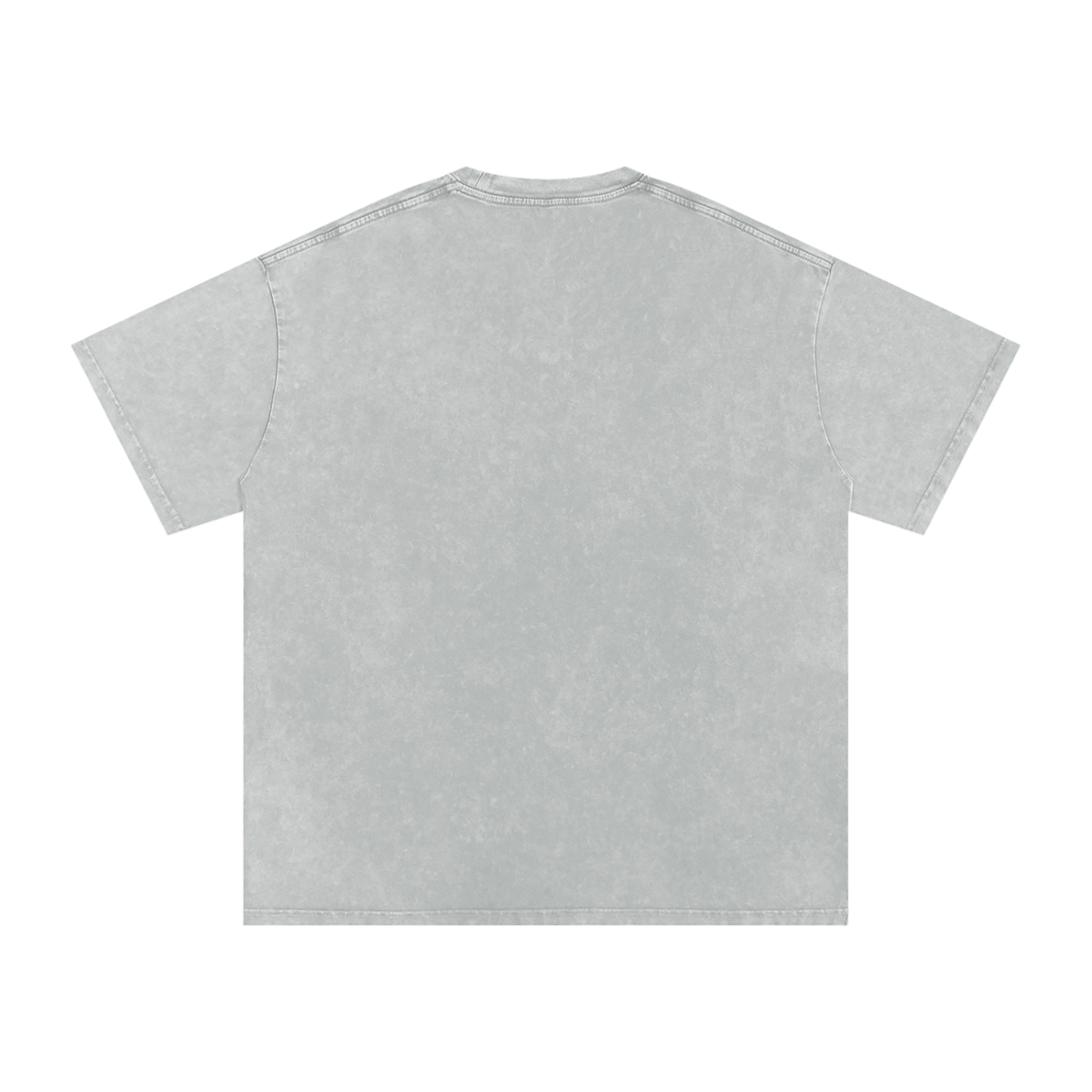 Affirm My Delusions Snow Washed Oversized Cotton T-Shirt