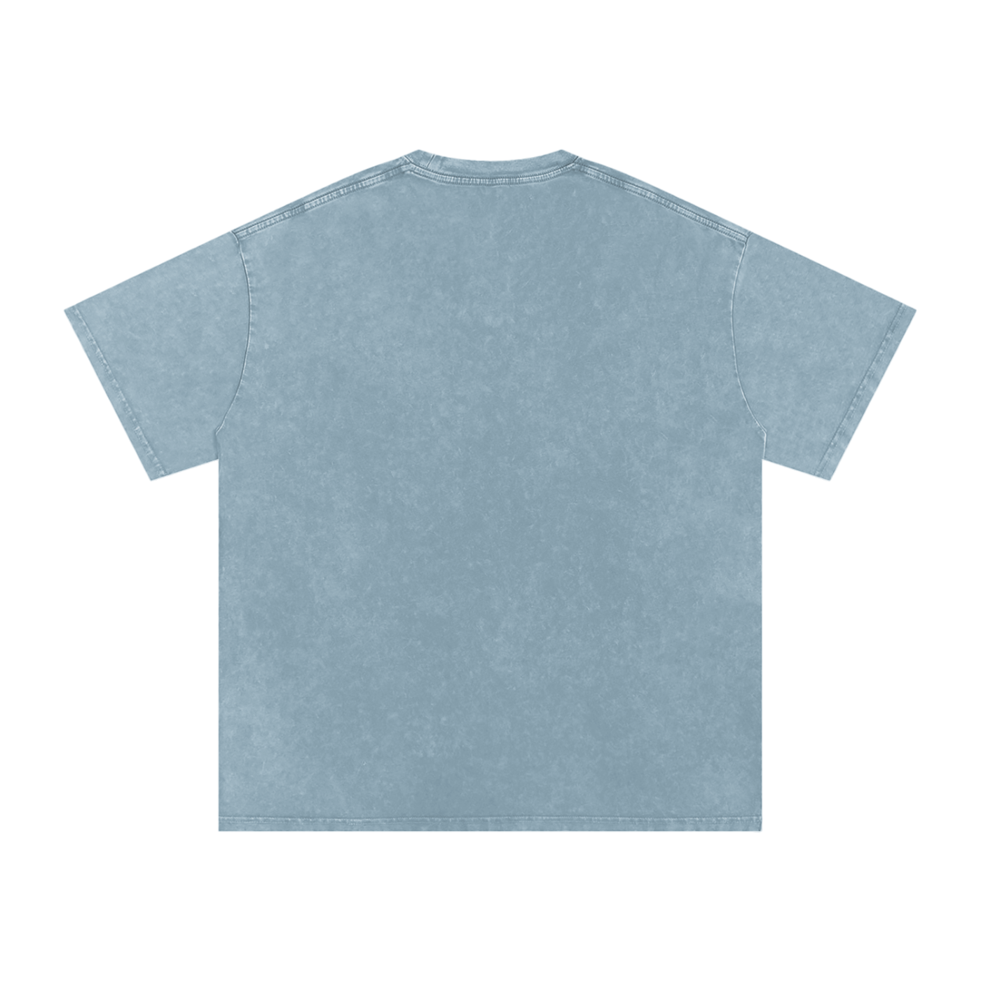Affirm My Delusions Snow Washed Oversized Cotton T-Shirt