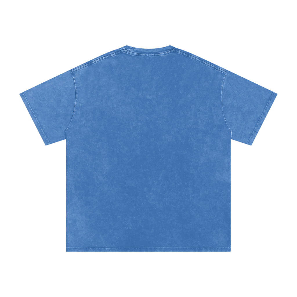 Affirm My Delusions Snow Washed Oversized Cotton T-Shirt